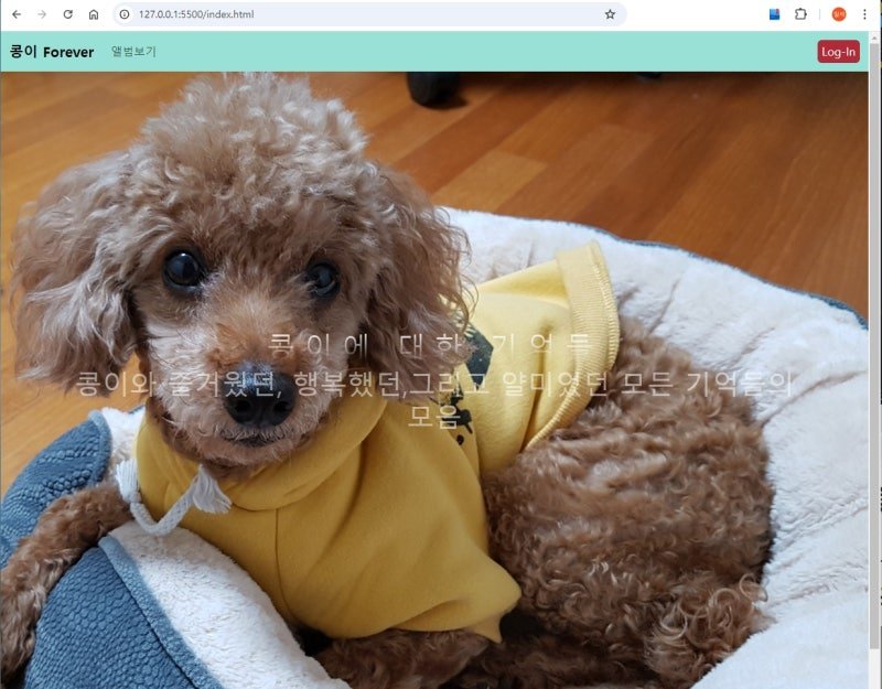 Firebase 배우기 49 – 파이어 베이스를 이용해 반려견과의 추억 앨범 만들기