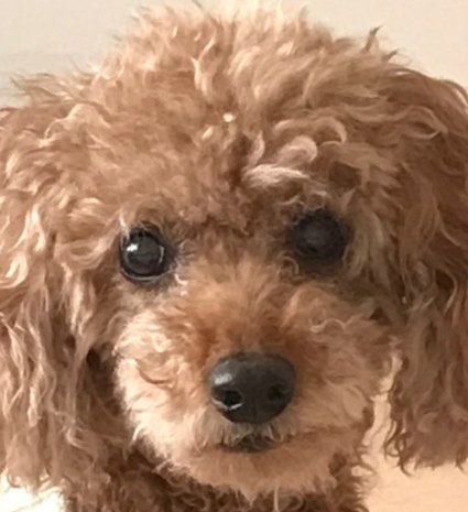 콩이네